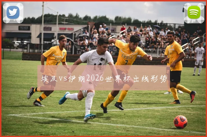 埃及vs伊朗2026世界杯出线形势