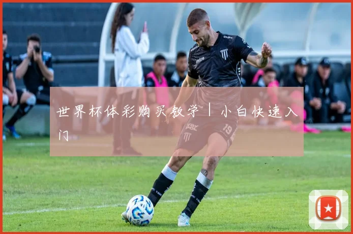世界杯体彩购买教学｜小白快速入门