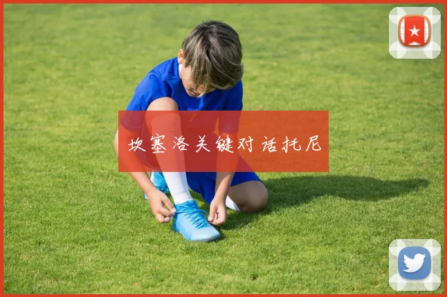 坎塞洛关键对话托尼