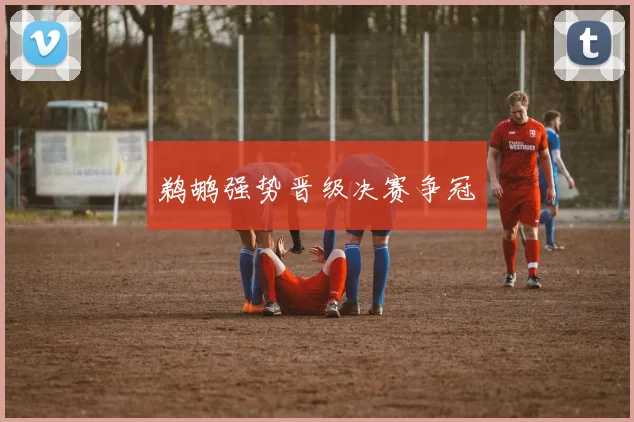 鹈鹕强势晋级决赛争冠
