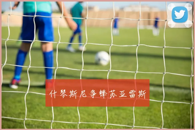 什琴斯尼争锋苏亚雷斯