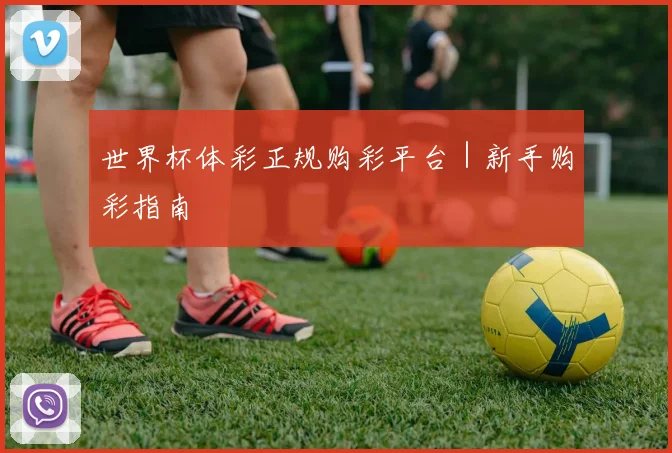 世界杯体彩正规购彩平台｜新手购彩指南