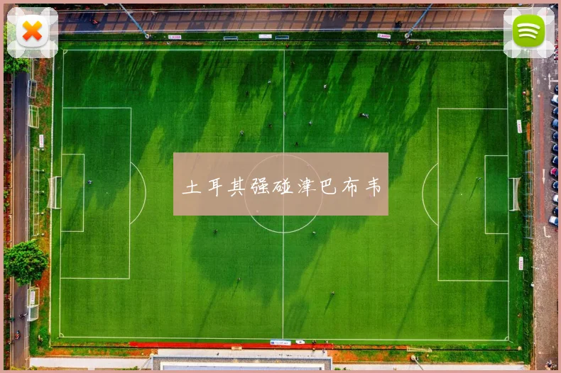 土耳其强碰津巴布韦