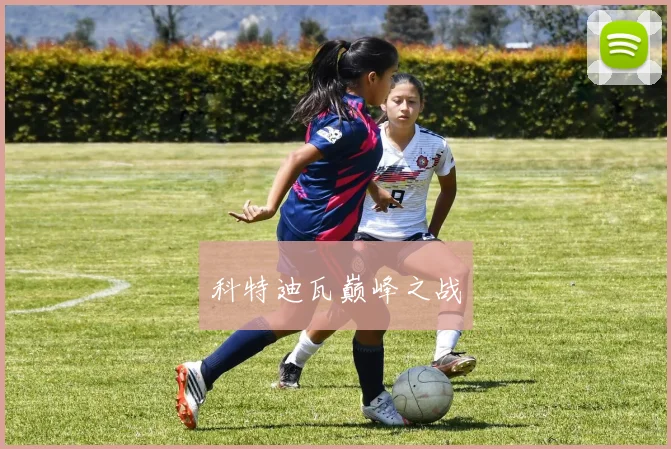 科特迪瓦巅峰之战