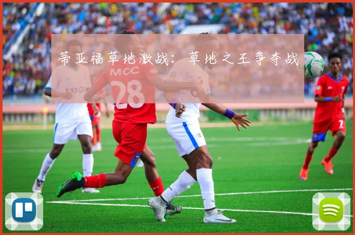 蒂亚福草地激战：草地之王争夺战