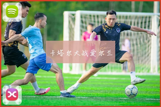 卡塔尔大战爱尔兰