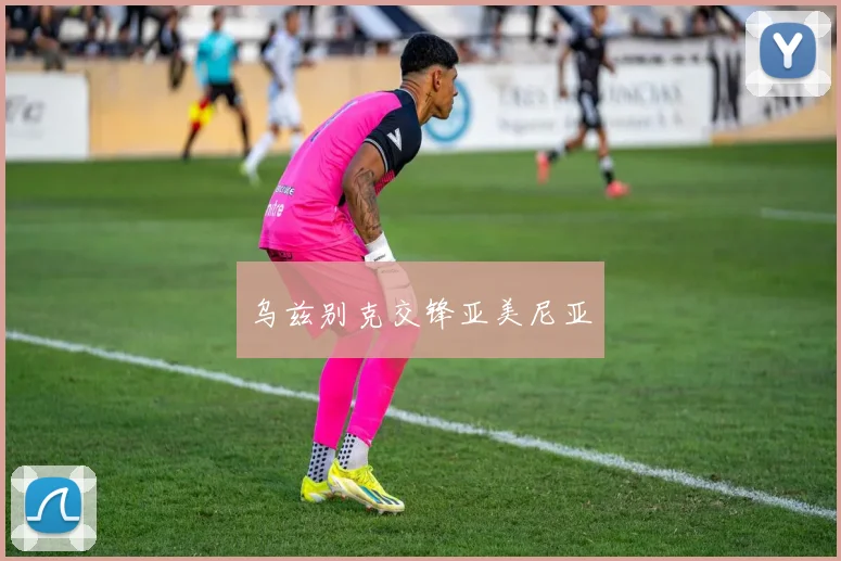 乌兹别克交锋亚美尼亚