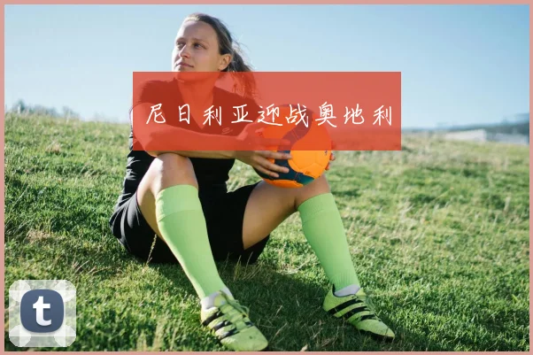 尼日利亚迎战奥地利