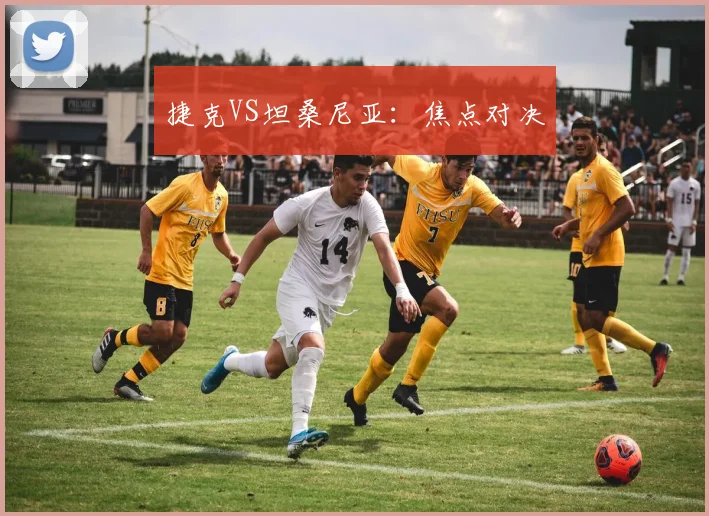 捷克VS坦桑尼亚：焦点对决