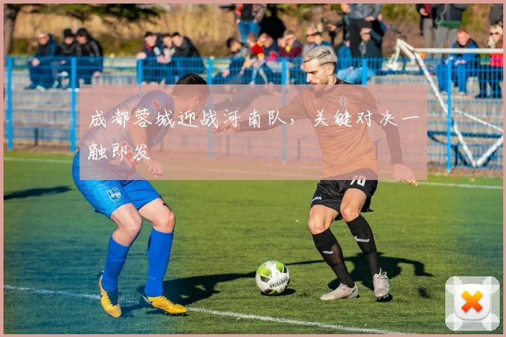 成都蓉城迎战河南队，关键对决一触即发