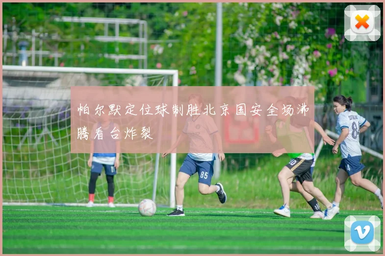 帕尔默定位球制胜北京国安全场沸腾看台炸裂