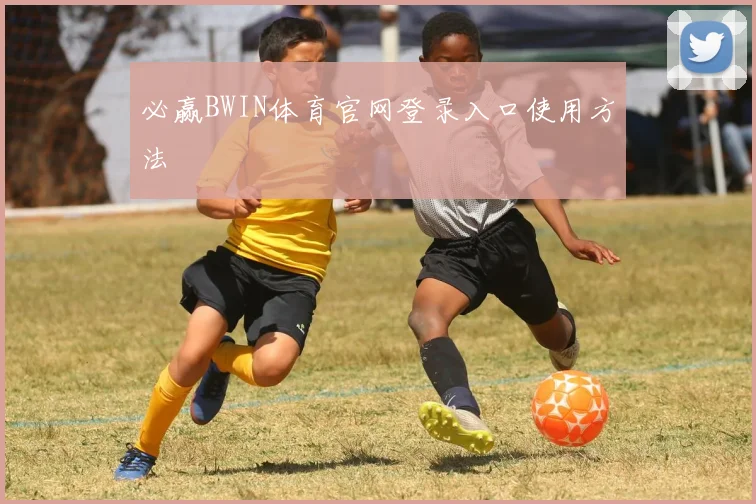 必赢BWIN体育官网登录入口使用方法