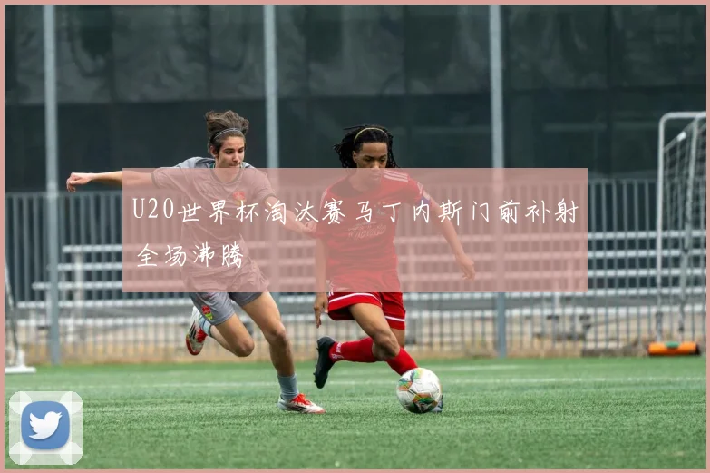 U20世界杯淘汰赛马丁内斯门前补射全场沸腾